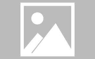 莘县校园官网页面设计模板（学校官网界面设计）
